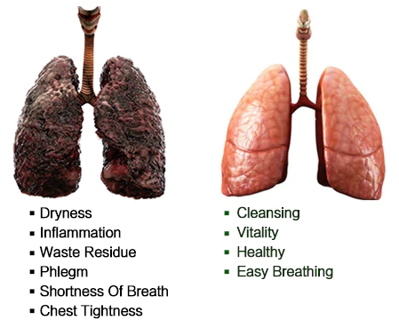  Lovilds™ Herbal Lung Cleanse Mist