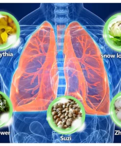 Lovilds™ Herbal Lung Cleanse Mist