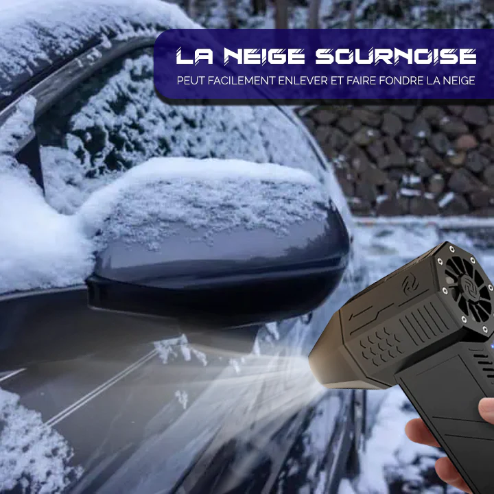 Lyseemin™ INSTANT Souffleur de neige électrique portable à air chaud -  Wowelo - Your Smart Online Shop