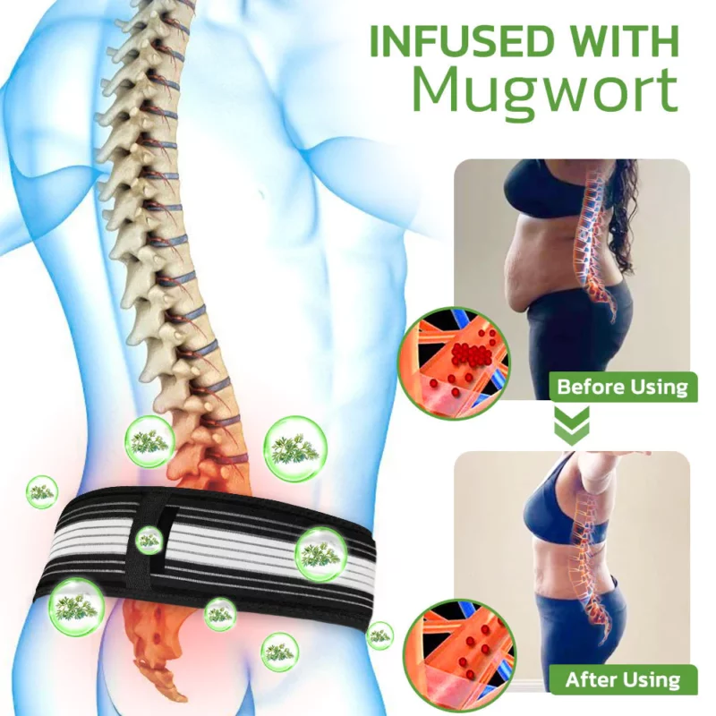Mugwortswrap Health Lower Back Pain Support Belt