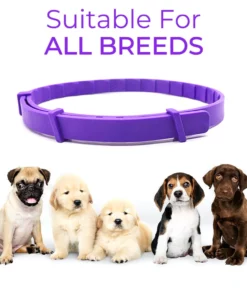 Ourlyard™ VerminOFF Pest Free Pet Health Belt
