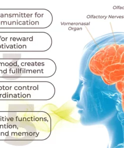 Oveallgo™ Perfume de dopamina VividLure