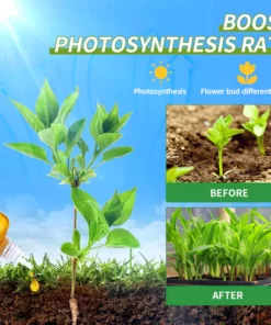 Thonesr™ HyperGrowth-Pro Plant Growth Hormone