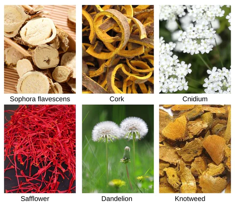 Dobshow™ Medical-Grade Gynecological Detox & Body Toning Gel