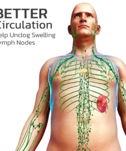 Futusly™ BloatedOut ONYX Obsidian Double Bead Bracelet