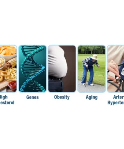 GFOUK™ GlycoWave Electric Pulse Device