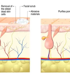 Pvrer™ Feminine Intimate Area Whitening Pinkish Essence