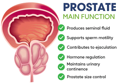 Raindew™ Advanced Prostate Therapy Drops