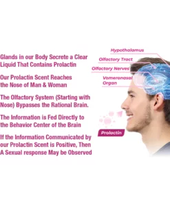 flysmus™ Charmé Citron Prolactin Perfume