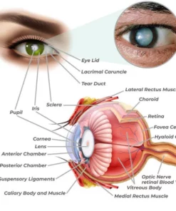iRosesilk™ Ophthal Pro-Care Vision Enhancement Device