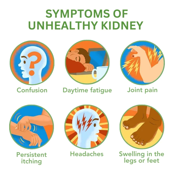 Fivfivgo™ Nieren-Boost-Tropfen