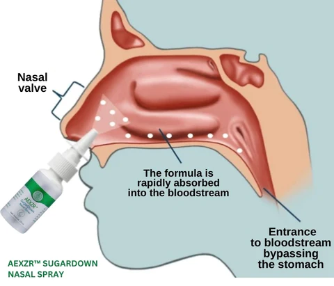 AEXZR™ SugarDown Nasal Spray