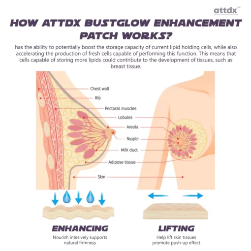 Łatka wzmacniająca ATTDX BustGlow