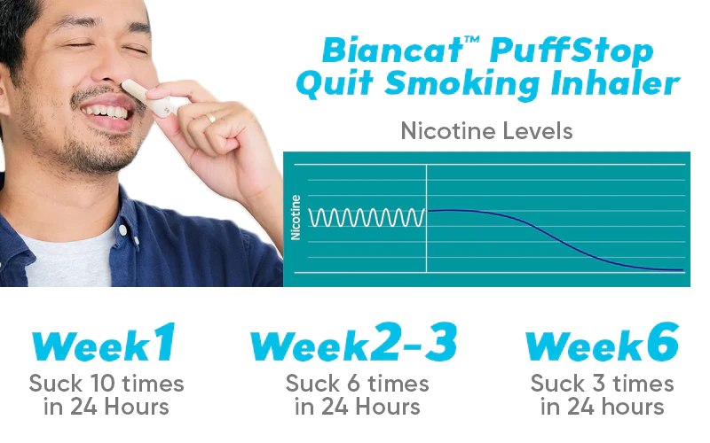 Biancat™ PuffStop Quit Smoking Inhaler