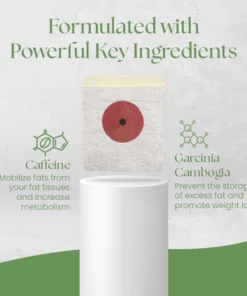 Ceoerty™ DetoxPro Herbal Slimming Patch