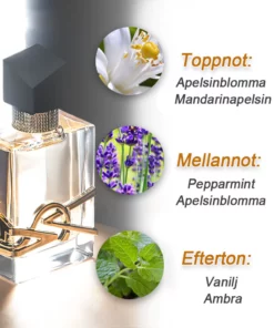 Coolord™ VSA Dopamin Parfüm