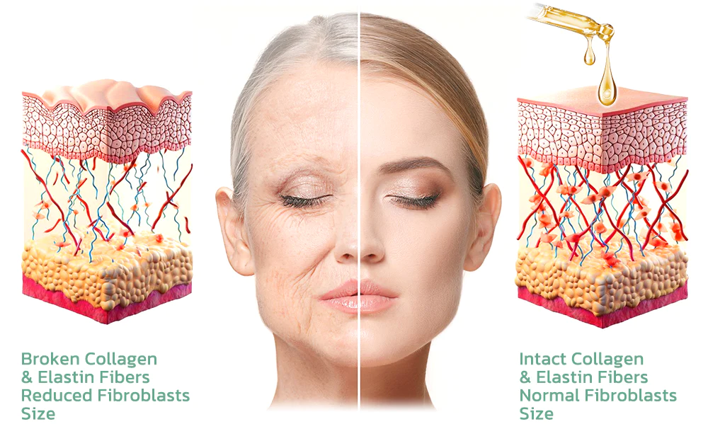 Fivfivgo™ Kollagen-Körperstraffungsöl
