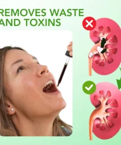 Fivfivgo™ Nieren-Boost-Tropfen