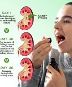 Fivfivgo™ Nieren-Boost-Tropfen