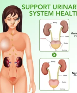 Fivfivgo™ Nieren-Boost-Tropfen