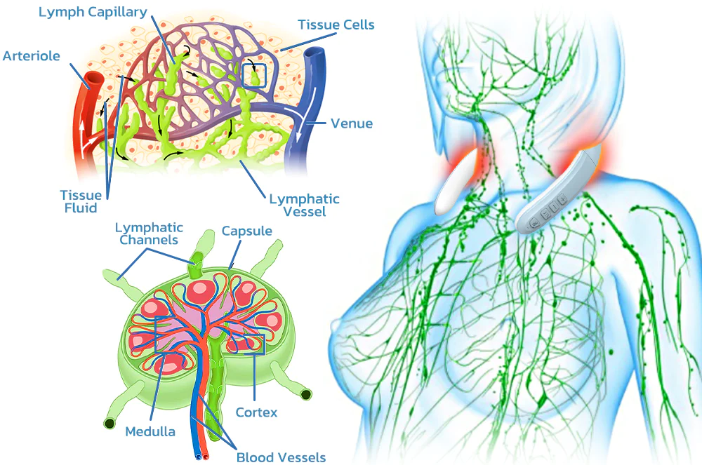 Furzero™ Slendery Ultrasonic Lymphatic Massager