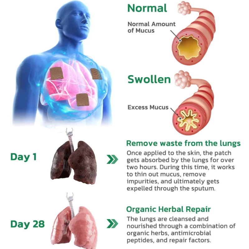 GFOUK™ HerbalPure прочистувачки ноќни лепенки