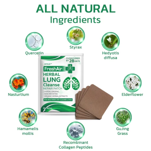 GFOUK™ HerbalPure Patch pou pirifye lannwit