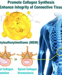 لاصقة التثبيت العشبية GFOUK™ LumbarFlex
