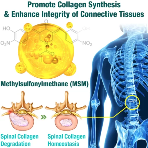 لاصقة التثبيت العشبية GFOUK™ LumbarFlex