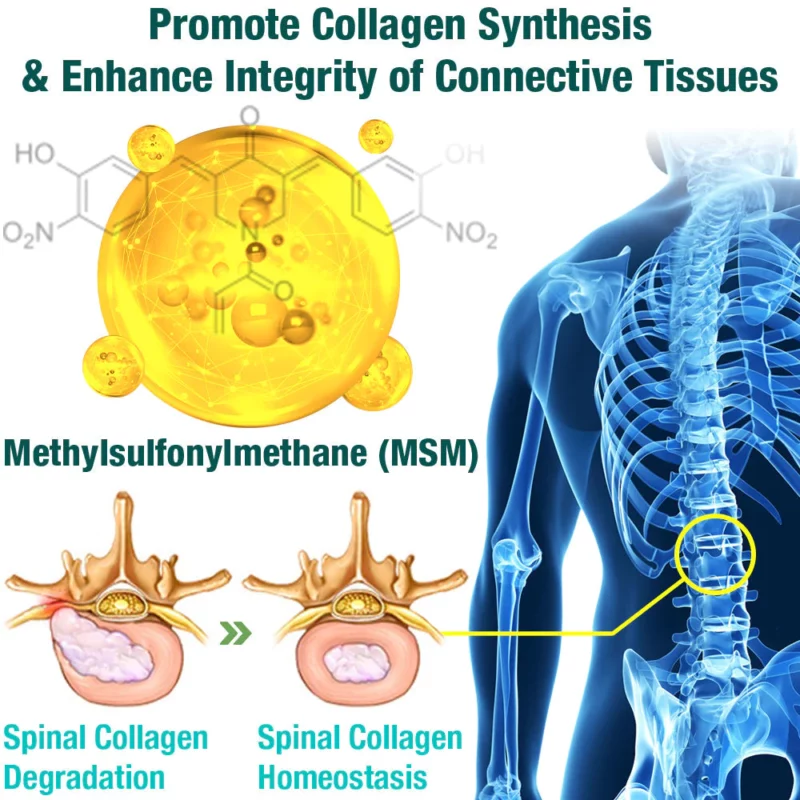 لاصقة التثبيت العشبية GFOUK™ LumbarFlex