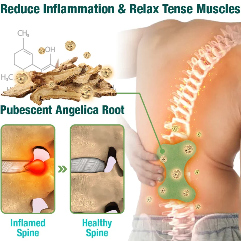لاصقة التثبيت العشبية GFOUK™ LumbarFlex