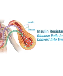 GFOUK™ GlucoCare Electric Pulse Balancing Device