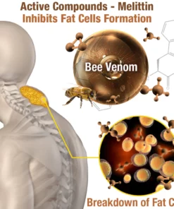 GFOUK™ HumpEase Bee Venom Smoothing Plaster