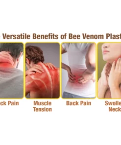 GFOUK™ HumpEase Bee Venom Smoothing Plaster