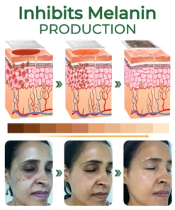 GFOUK™ WHITEBEAR Pigmentation Correction Bamboo Arbutin Pads