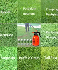 Green Grass & Pest Control Lawn Spray
