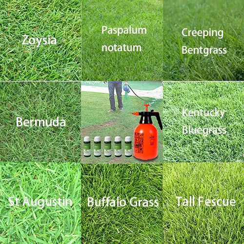 Спрей для газонов от зеленой травы и вредителей