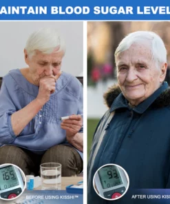 KISSHI™ GlycoWave Blood Sugar Control Device