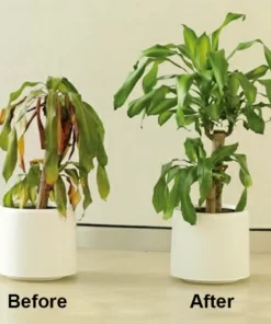 LIMETOW™ Chlorophyll Spray