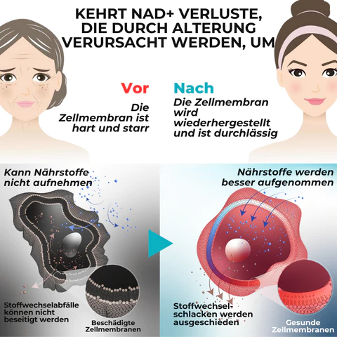 Niacinol™ NMN+ Ergänzungstrofen