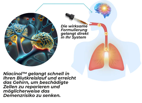 Niacinol™ NMN+ Ergänzungstrofen