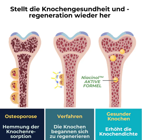 Niacinol™ NMN+ Ergänzungstropfen