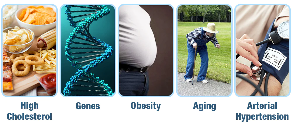 Oveallgo™ GlycoWave Electric Pulse Device
