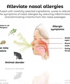 I-RICPIND EMS RespiRestore Nasal Therapy Device