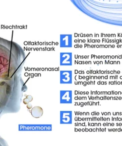 Raindew™ ChemistryLure Pheromone festes Parfüm