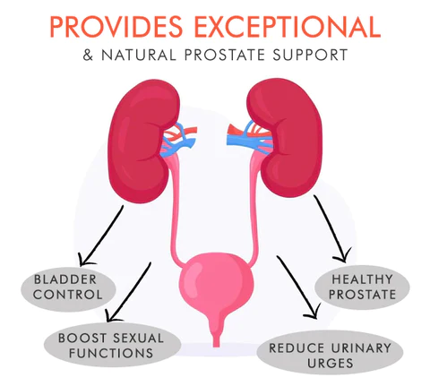 Seurico™ Kidney Care Patch