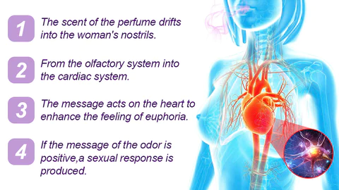 flysmus™ Black Orchic Adrenaline Men Perfume