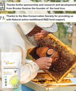 AAFQ™ Bee Venom Lymphatic Drainage Slimming Patch