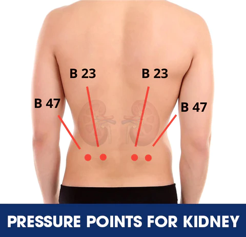 AEXZR™ Acupressure Kidney Care Belt