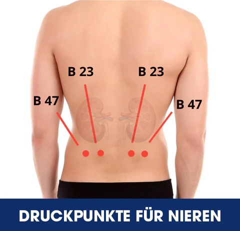 AEXZR™ Akupressur Nierenpflege-Gürtel